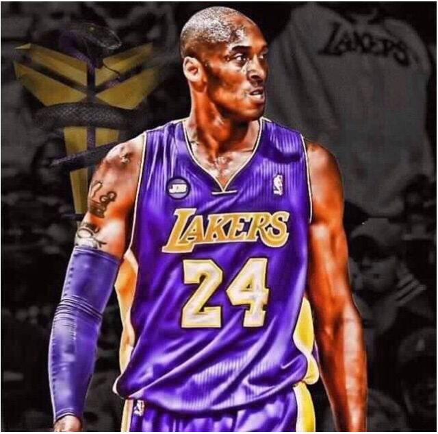 逐步成长 逐步成长