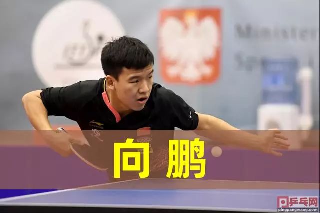 篮球世界 篮球世界