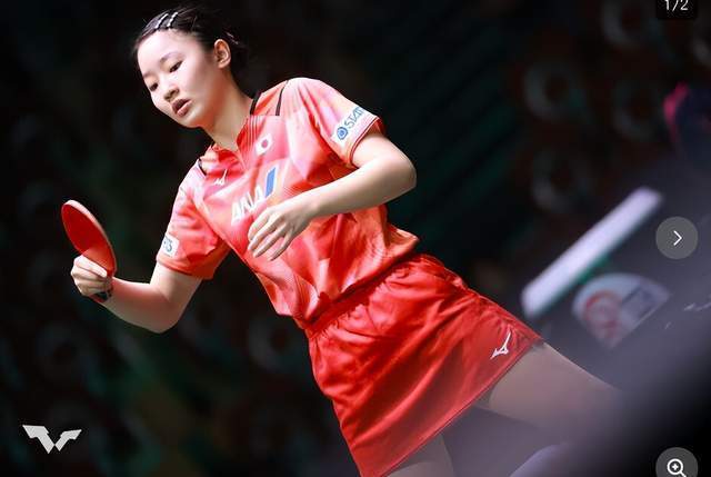 因为它强调 因为它强调